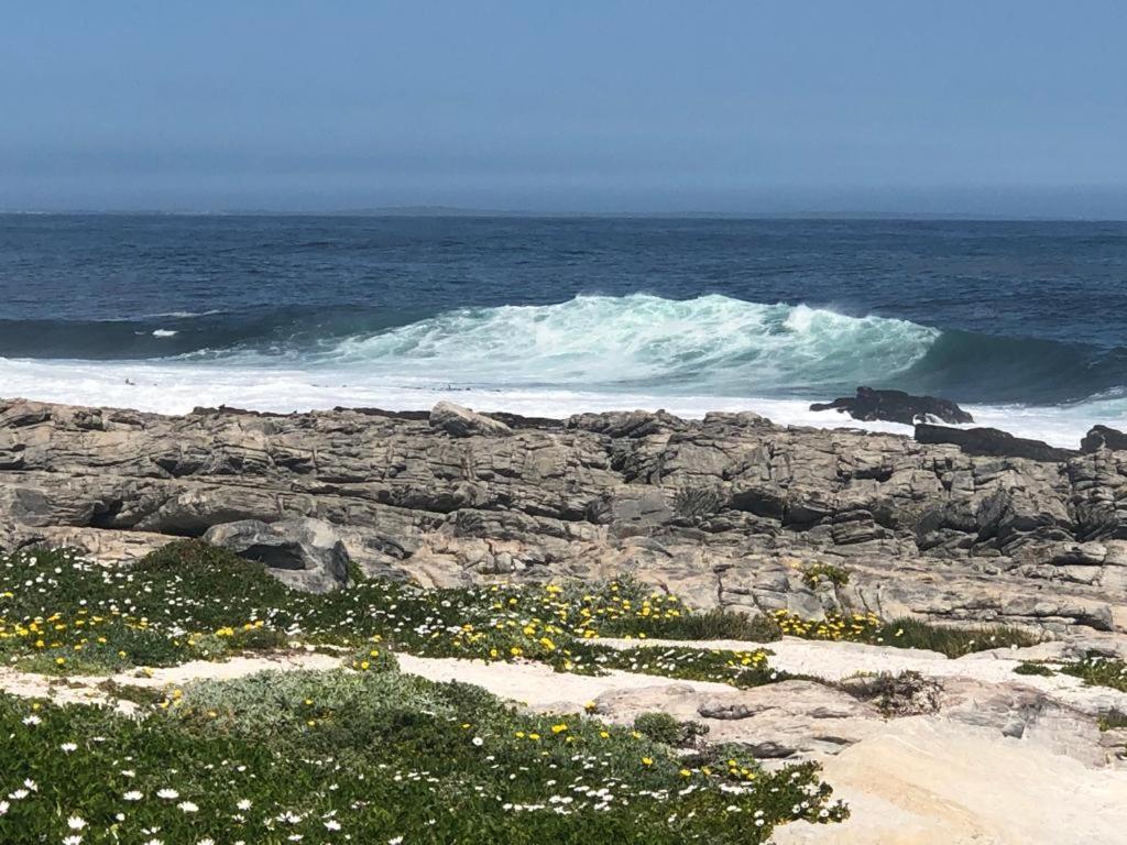 Hermanus Beach Club - Le Maree House 18 المظهر الخارجي الصورة